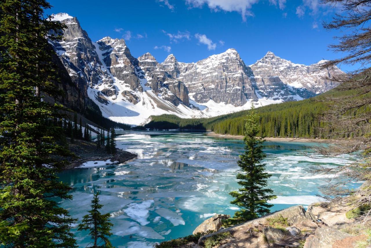 Spectacular Mountain View Corner Unit Pool Hot Tub Park Pass Leilighet Canmore Eksteriør bilde